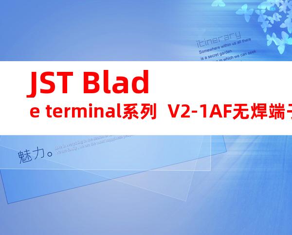 JST Blade terminal系列  V2-1AF无焊端子产品规格书